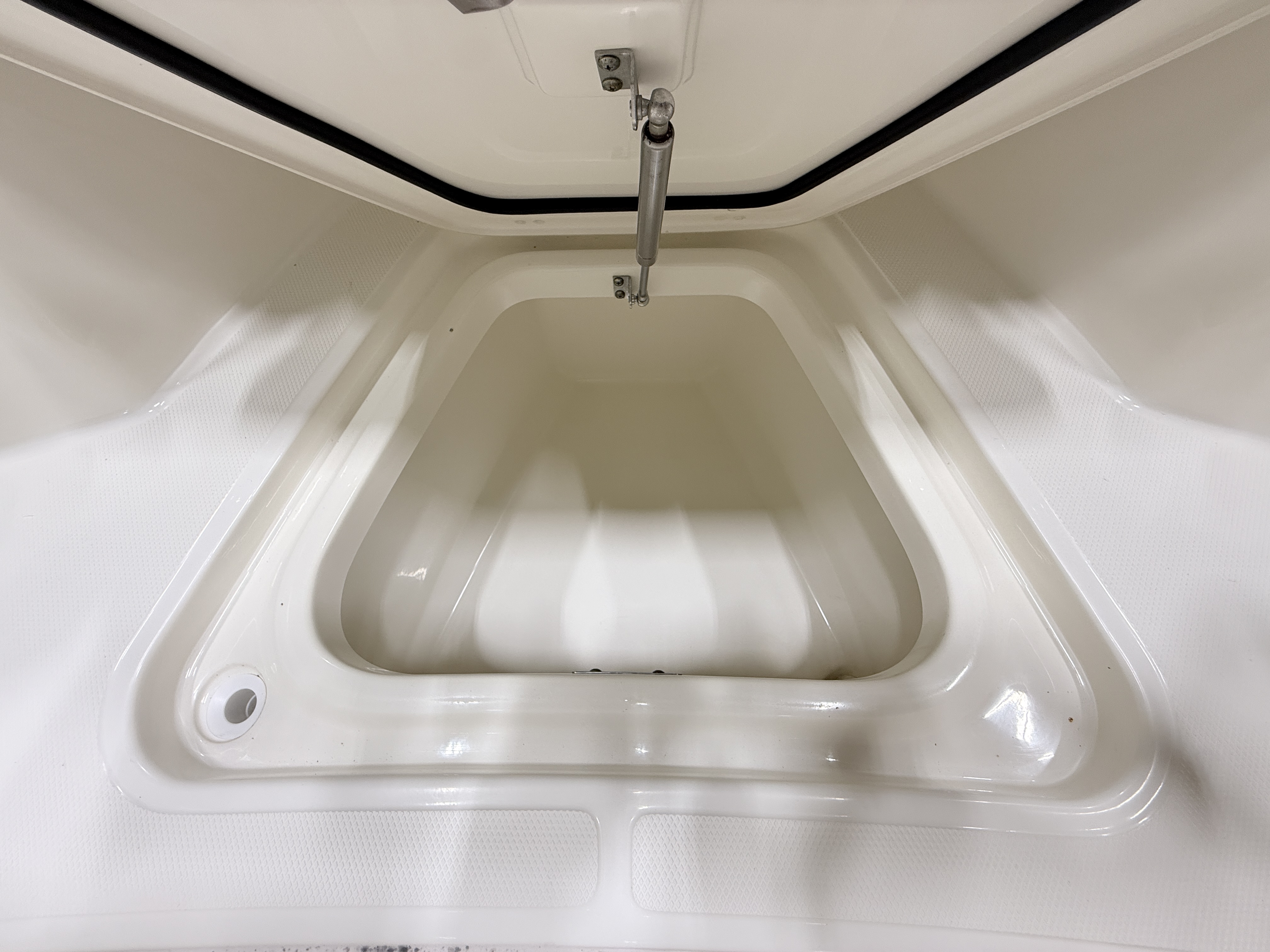 2021 Boston Whaler 250 Outrage