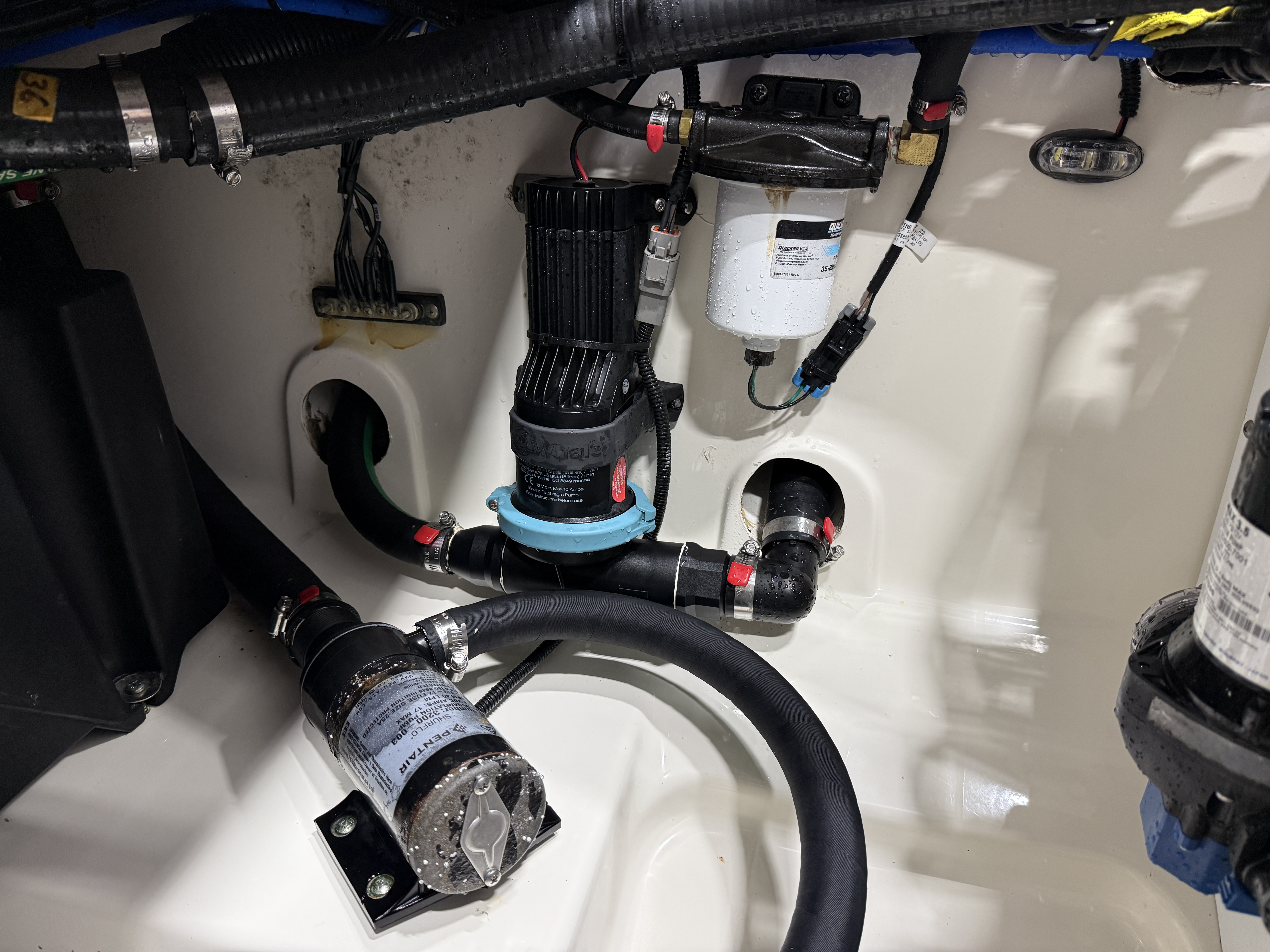 2021 Boston Whaler 250 Outrage